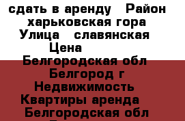 сдать в аренду › Район ­ харьковская гора › Улица ­ славянская › Цена ­ 8 000 - Белгородская обл., Белгород г. Недвижимость » Квартиры аренда   . Белгородская обл.,Белгород г.